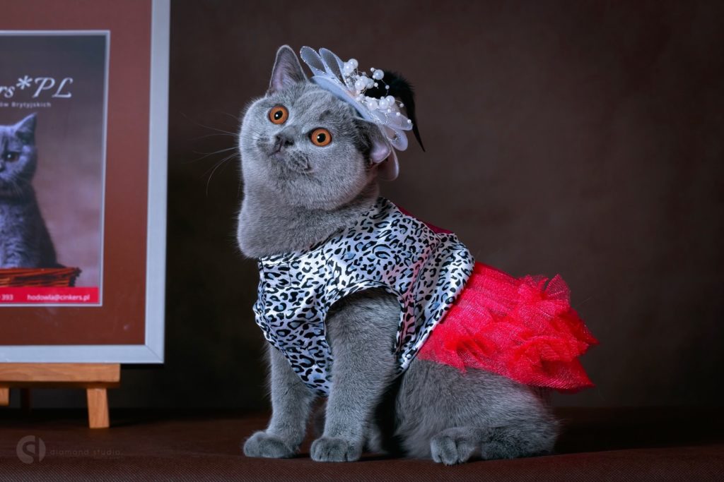 Lu Lu Crystal Flame’s